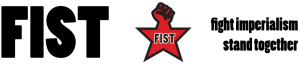 cropped-fist-top-banner-png