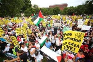 The crowd of Palestinians and their supporters in Washington D.C. August 2, 2014.